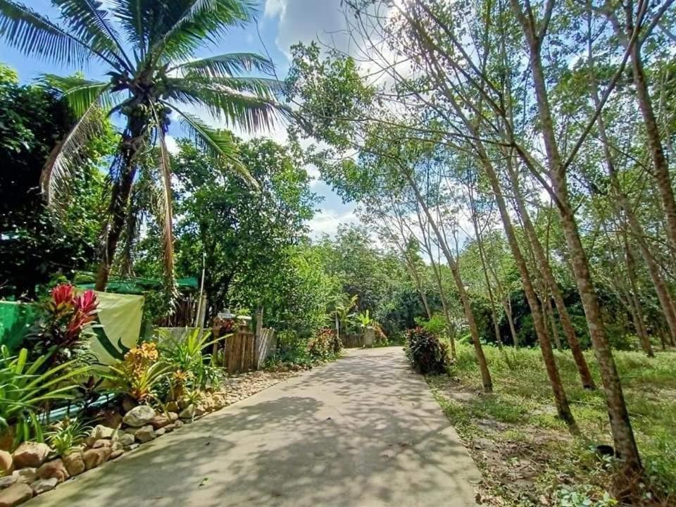 Nakhon Si Ban Na Homestay Накхонситхаммарат Экстерьер фото